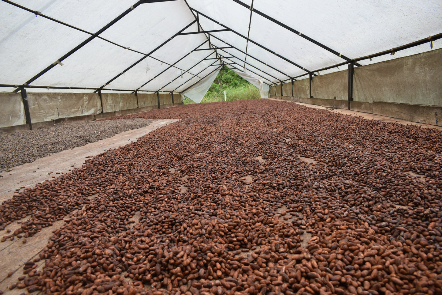 SACHA Likchachik 60% Kakao-Schokolade (Geröstete Kaffeebohnen)