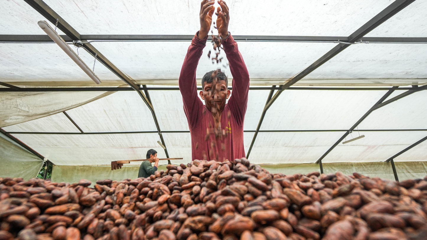 SACHA Likchachik 60% Kakao-Schokolade (Geröstete Kaffeebohnen)