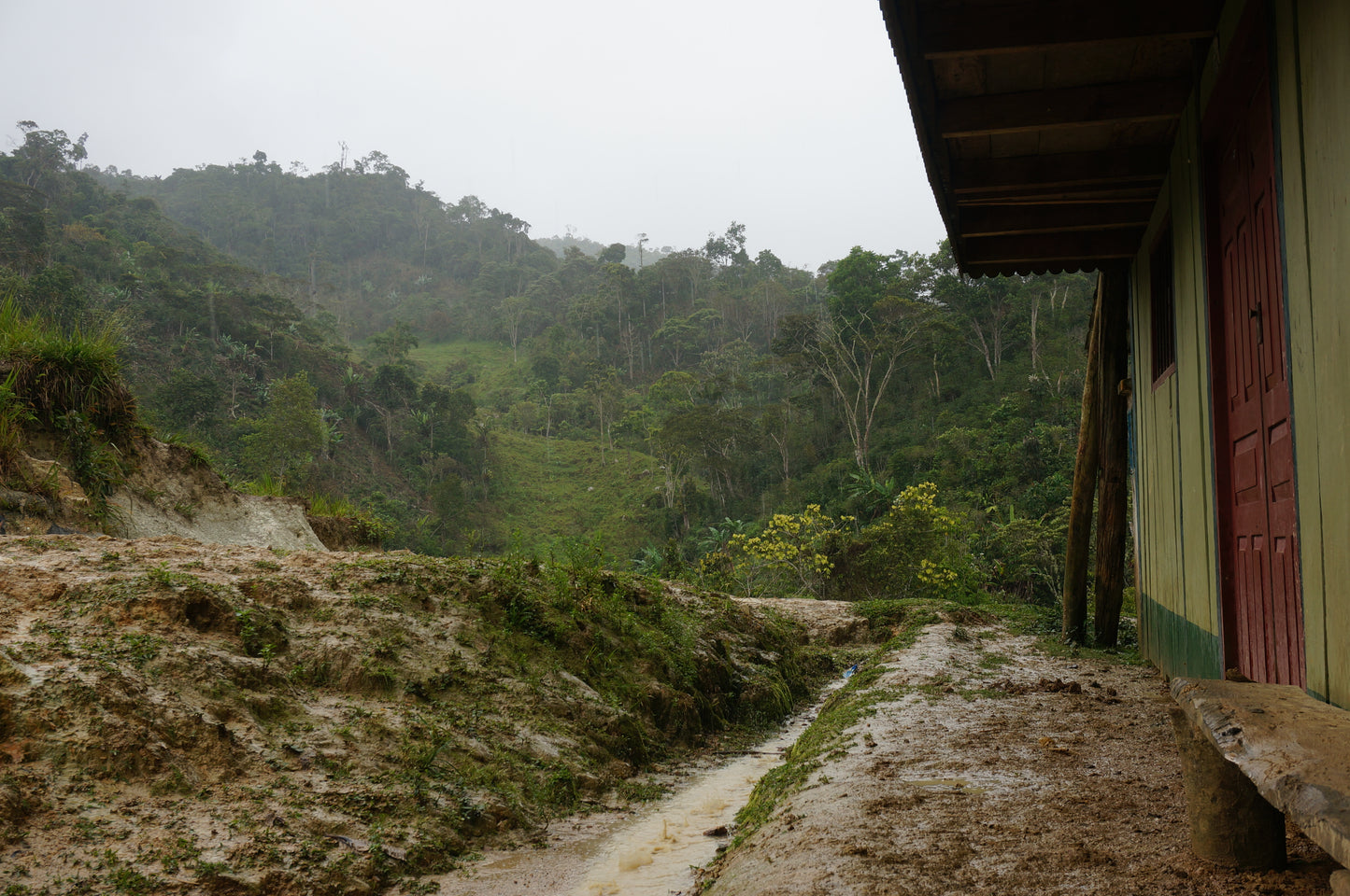 Peru Kuntu