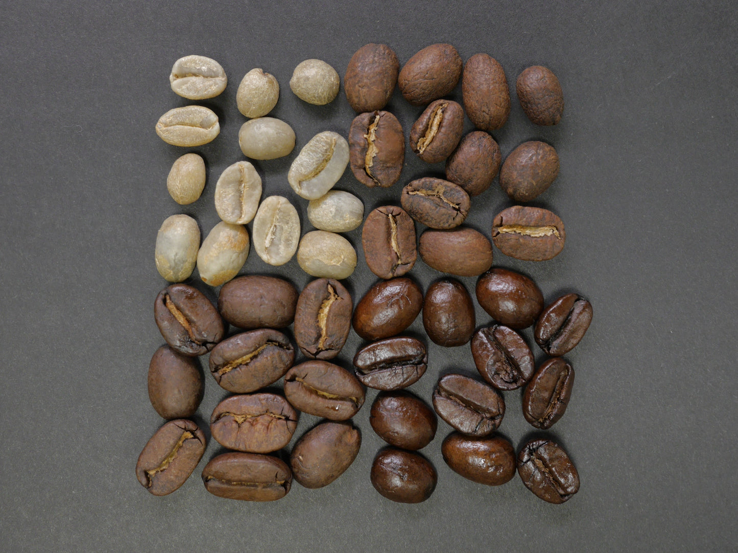 Typical Röster/in: Grundlagenkurs der Kaffeeröstung